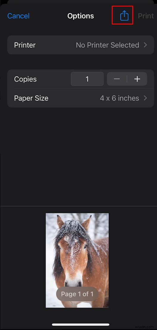 สร้าง PDF บน iPhone ของคุณ:คู่มือฉบับย่อและง่าย 