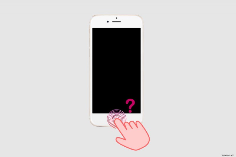 iPhone 11 และ Touch ID:สิ่งที่คุณต้องรู้เกี่ยวกับการปลดล็อคลายนิ้วมือ