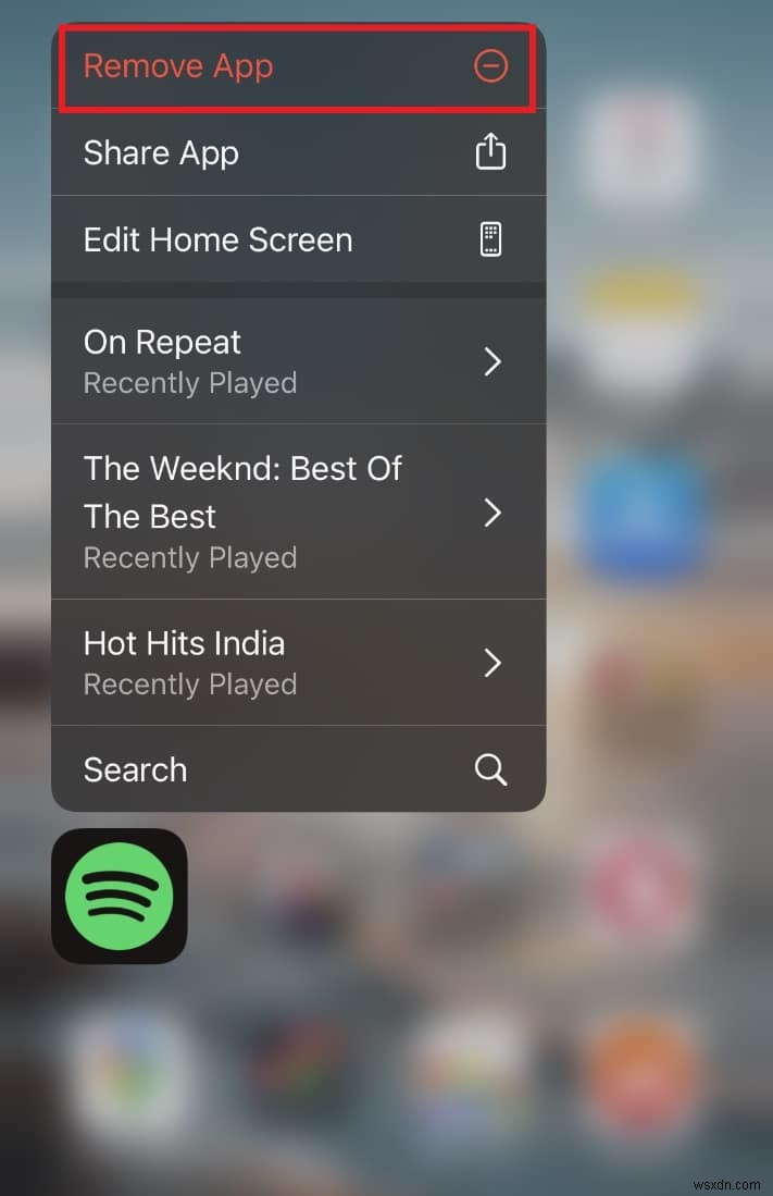 แก้ไขปัญหาการเล่น Spotify 10 วินาทีบน iPhone