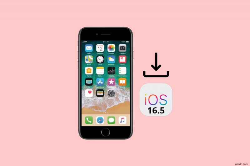 วิธีดาวน์โหลดและติดตั้ง iOS 16.5 Beta บน iPhone ของคุณอย่างปลอดภัย 