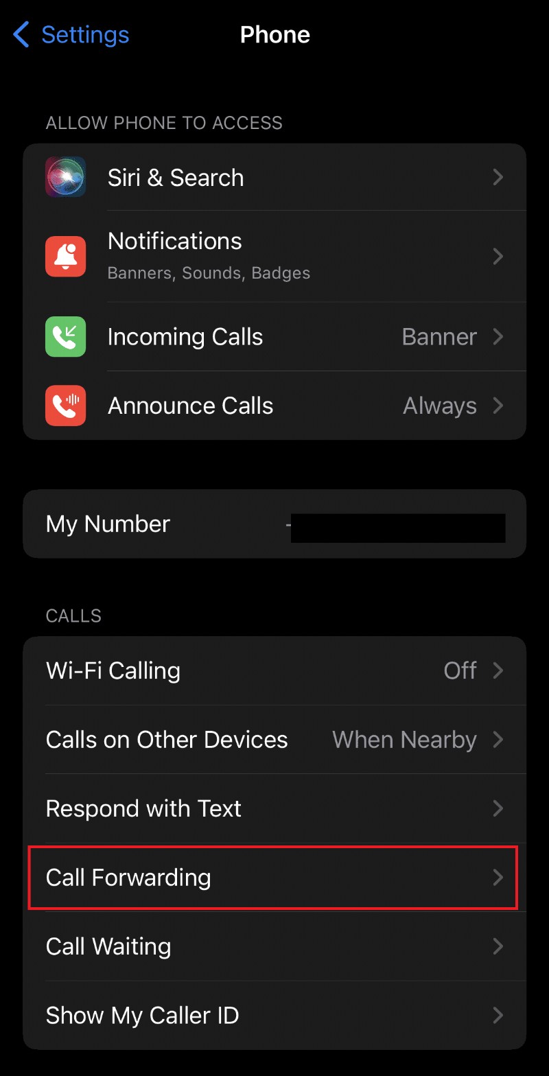 11 โซลูชั่นในการแก้ไข Visual Voicemail ไม่พร้อมใช้งานบน iPhone 