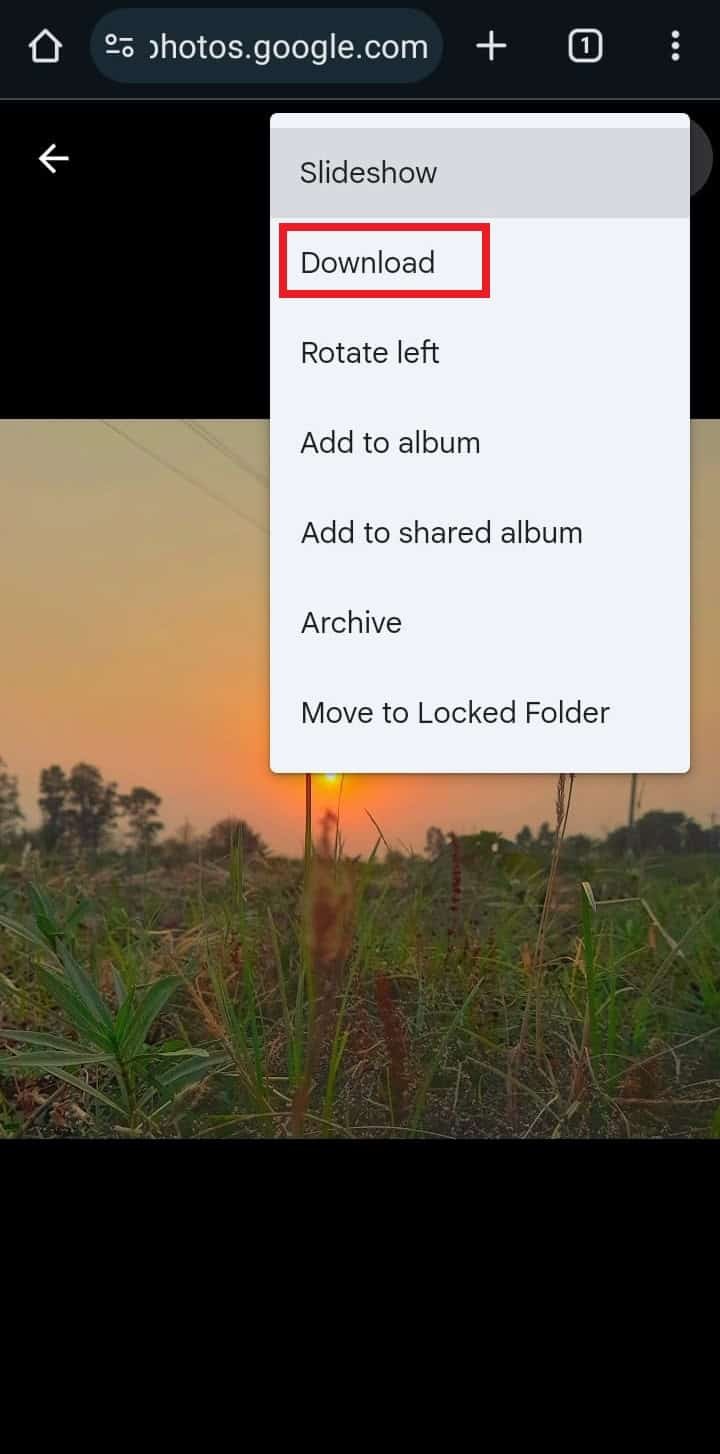 คู่มือฉบับย่อ:เข้าถึงรูปภาพสำรองของคุณใน Google Photos 