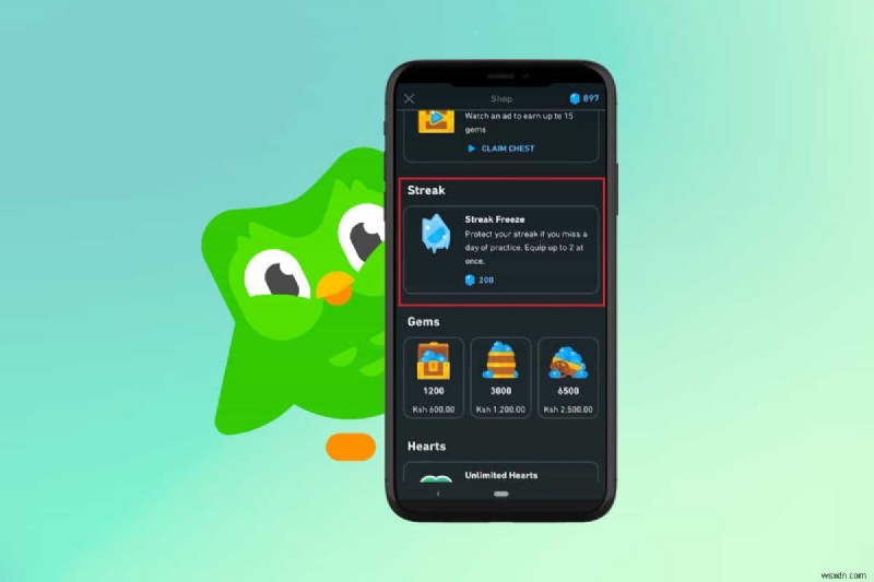 รักษา Duolingo Streak ของคุณให้คงอยู่ขณะเดินทาง:คำแนะนำทีละขั้นตอน 
