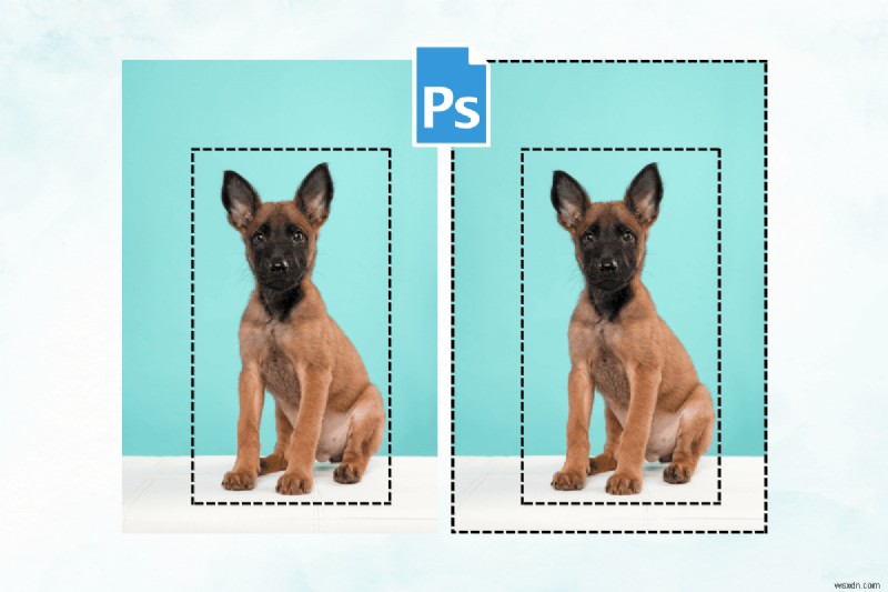 การเลือก Photoshop ระดับปรมาจารย์:3 วิธีที่พิสูจน์แล้วในการกลับตัวเลือกโดยมีหรือไม่มีทางลัด