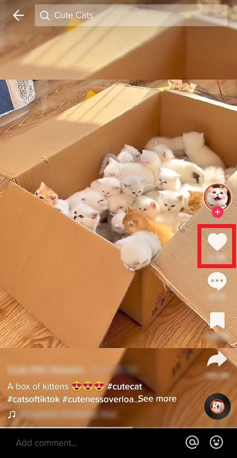 เลิกทำตัวเลือก  ไม่สนใจ  ของ TikTok:กู้คืนฟีดของคุณในไม่กี่นาที 