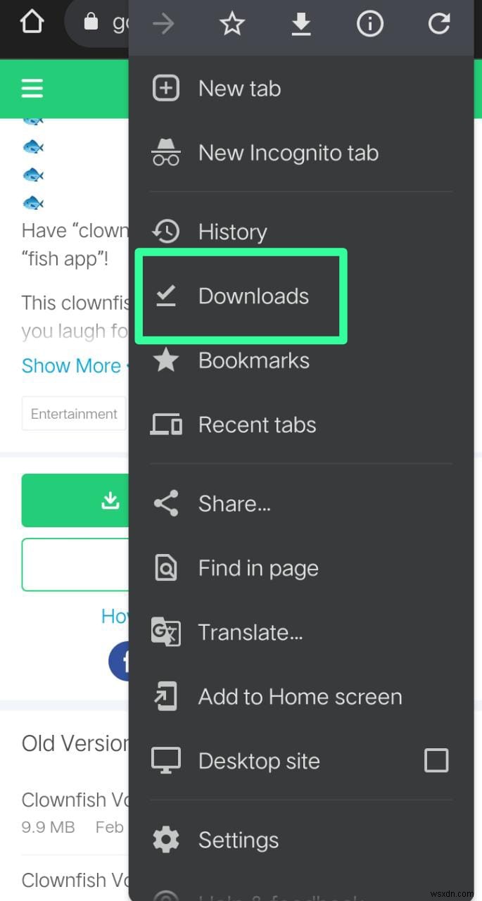 ดาวน์โหลด Clownfish Voice Changer สำหรับ Android – คำแนะนำทีละขั้นตอน