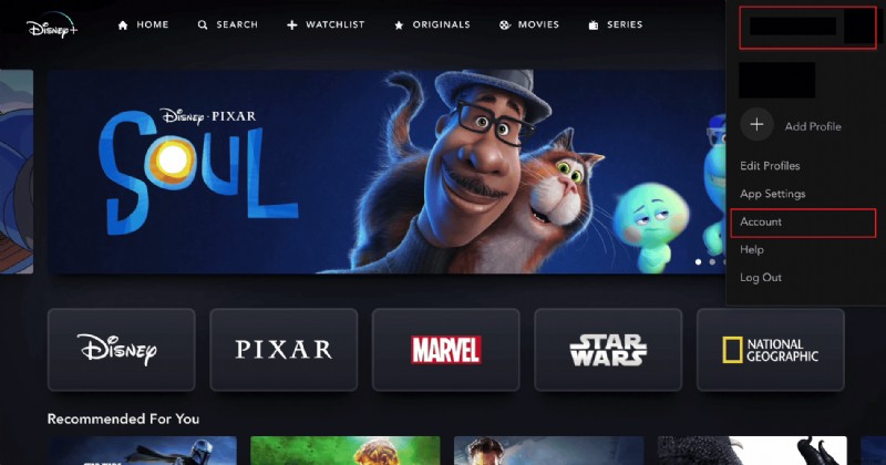 วิธีลบผู้ใช้ที่ไม่ได้รับอนุญาตออกจากบัญชี Disney Plus ของคุณอย่างรวดเร็ว