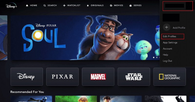 วิธีลบผู้ใช้ที่ไม่ได้รับอนุญาตออกจากบัญชี Disney Plus ของคุณอย่างรวดเร็ว