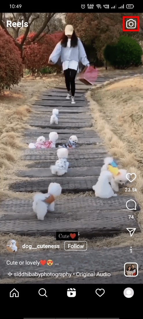 เร่งความเร็วม้วน Instagram ของคุณ:คำแนะนำฉบับย่อในการสร้างวิดีโอไทม์แลปส์ที่มีส่วนร่วม 
