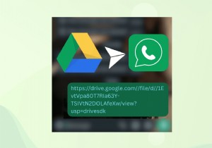 แชร์ไฟล์ใดๆ บน WhatsApp ผ่านลิงก์ Google Drive—คำแนะนำทีละขั้นตอน 