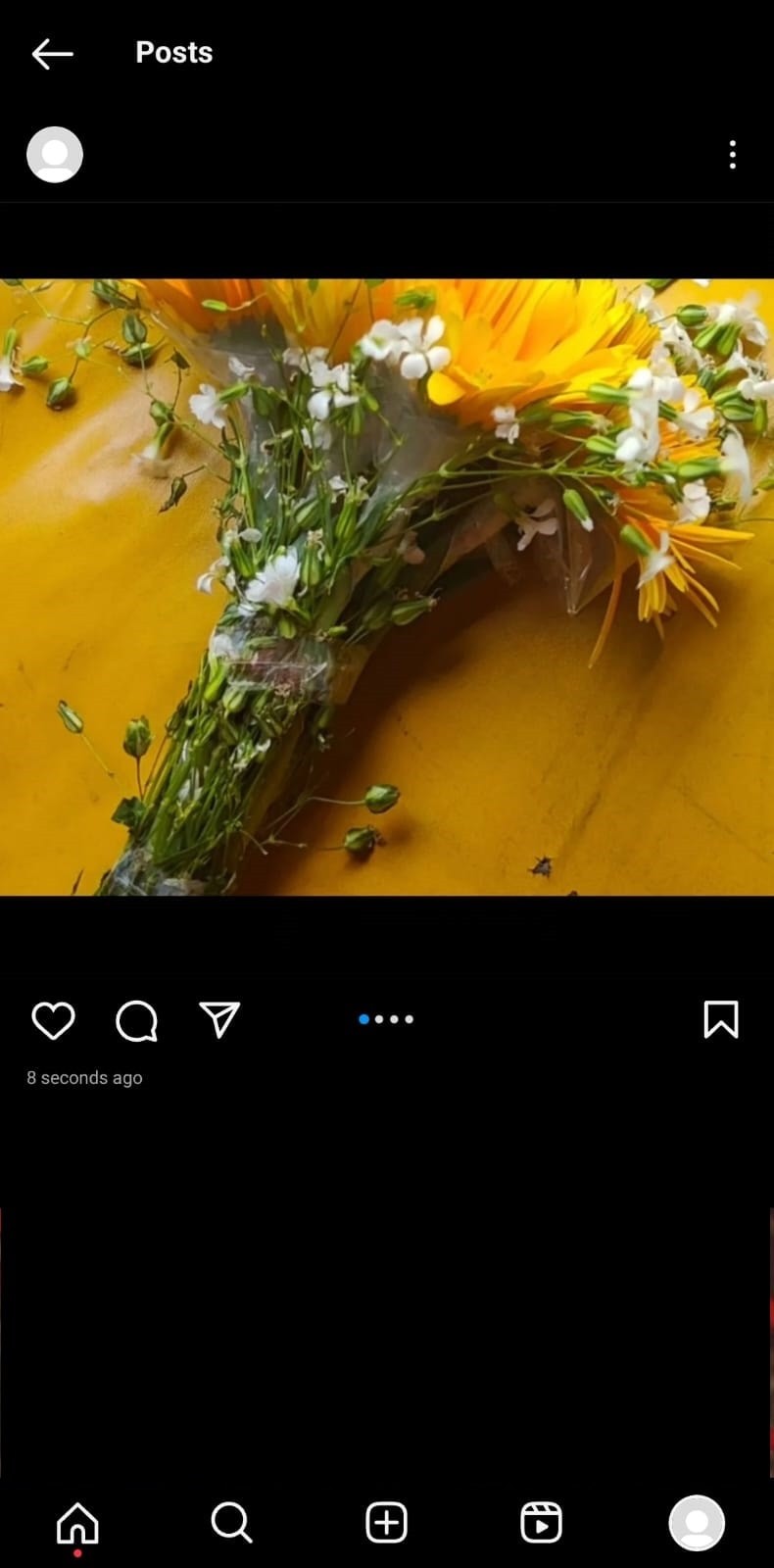 โพสต์ทั้งภาพทิวทัศน์และภาพบุคคลบน Instagram:คำแนะนำทีละขั้นตอน 
