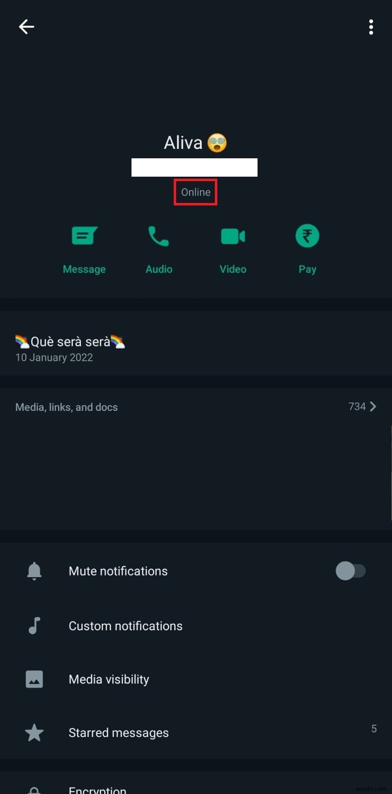 ตรวจสอบสถานะออนไลน์ของ WhatsApp:วิธีดูว่าผู้ติดต่อใช้งานอยู่หรือไม่