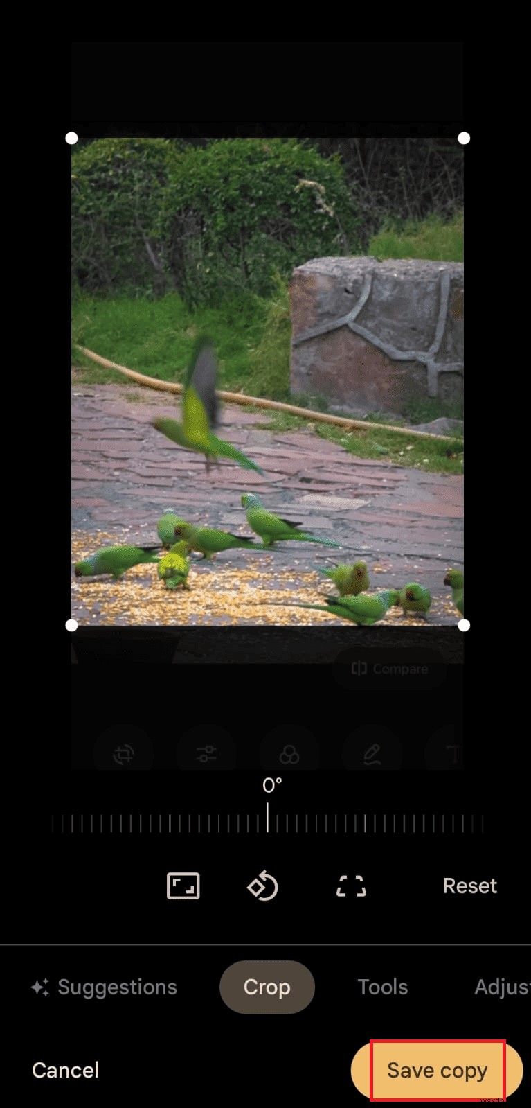 ปรับขนาดรูปภาพ Android อย่างรวดเร็ว:บทช่วยสอนทีละขั้นตอน