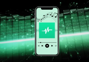 ดาวน์โหลด Parrot Voice Recorder บน Android:คำแนะนำทีละขั้นตอน 