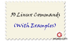คำสั่ง Unix ที่จำเป็น 50 อันดับแรก:คู่มือปฏิบัติ 