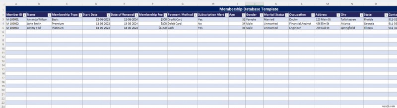 ฐานข้อมูล Master Excel:ประเภท เทมเพลต และการสร้างอย่างง่าย 