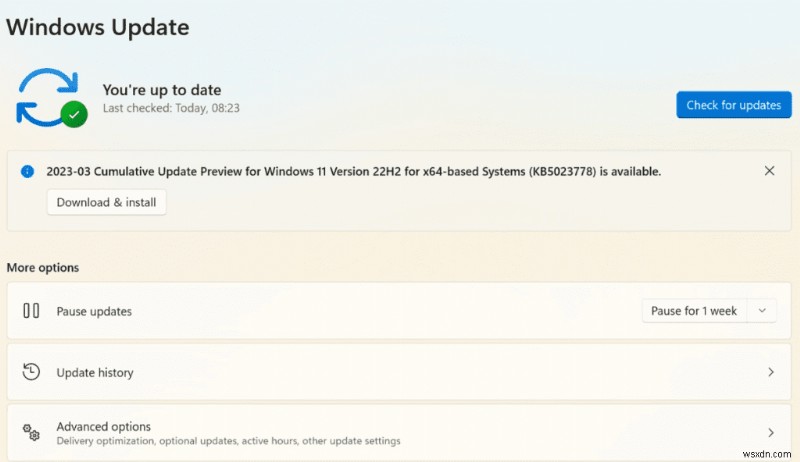 วิธีหยุดพีซี Windows 11 ของคุณจากความร้อนสูงเกินไป:การแก้ไขโดยผู้เชี่ยวชาญ