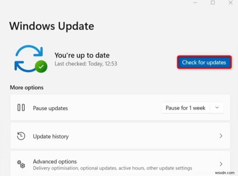 แก้ไขปัญหาการตรวจสอบทรัพยากร Windows 11:คู่มือการแก้ไขปัญหาด่วน 