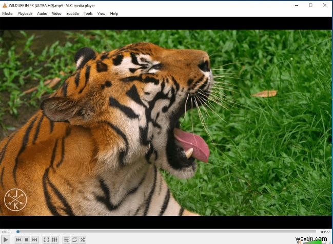 เครื่องเล่นวิดีโอ 5 อันดับแรกสำหรับ Chromebook ในปี 2023 – รองรับการสตรีม คำบรรยาย และรูปแบบ 