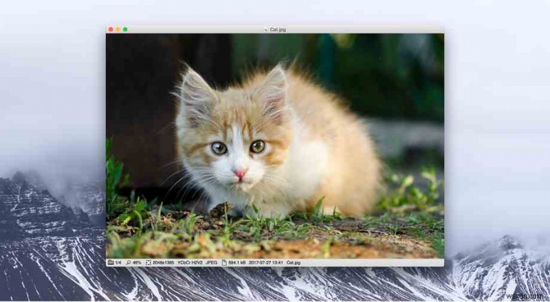 10 อันดับโปรแกรมดูรูปภาพที่ต้องมีสำหรับ Mac ในปี 2023 