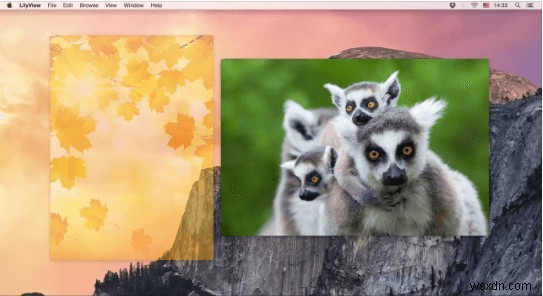 10 อันดับโปรแกรมดูรูปภาพที่ต้องมีสำหรับ Mac ในปี 2023 