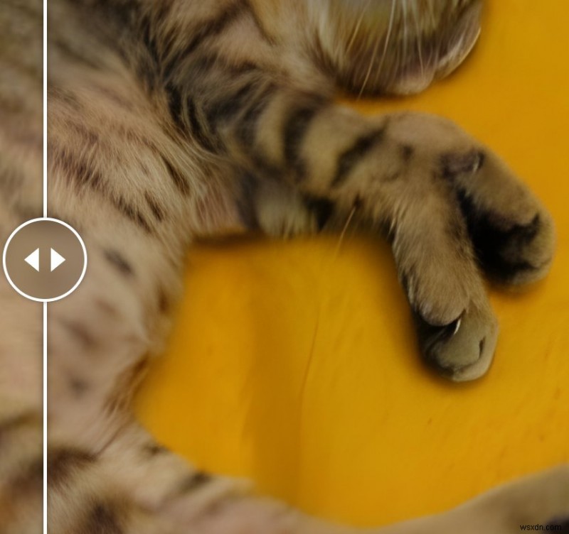Upscayl:การลดขนาดรูปภาพ AI ในเครื่อง—ไม่จำเป็นต้องใช้คลาวด์ 