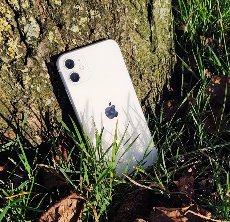 การประเมินอายุการใช้งาน iPhone 11:ประสิทธิภาพห้าปี 