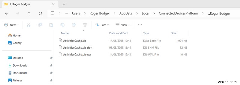 แพลตฟอร์ม Windows และอุปกรณ์ที่เชื่อมต่อ:การบูรณาการที่ราบรื่นและคุณสมบัติขั้นสูง 